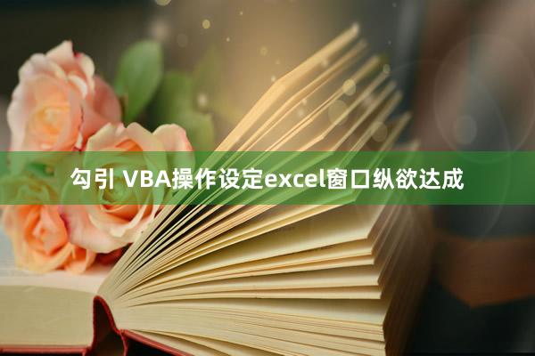 勾引 VBA操作设定excel窗口纵欲达成