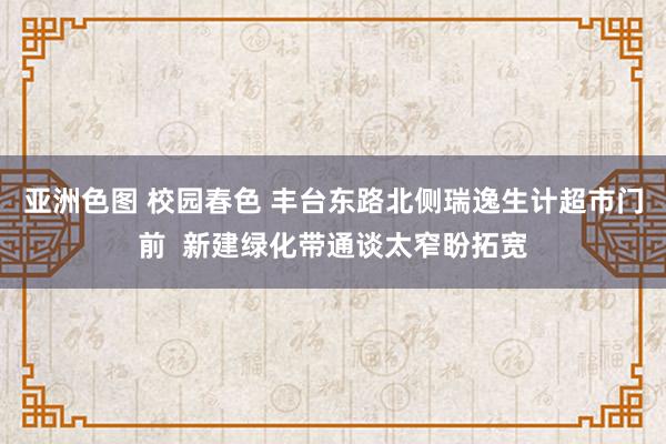 亚洲色图 校园春色 丰台东路北侧瑞逸生计超市门前  新建绿化带通谈太窄盼拓宽