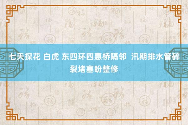 七天探花 白虎 东四环四惠桥隔邻  汛期排水管碎裂堵塞盼整修