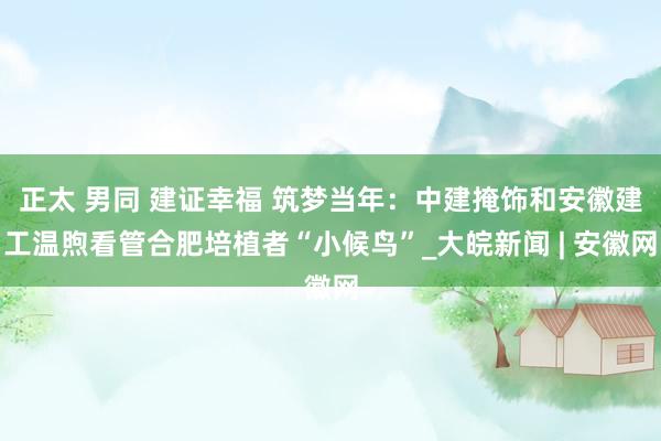 正太 男同 建证幸福 筑梦当年：中建掩饰和安徽建工温煦看管合肥培植者“小候鸟”_大皖新闻 | 安徽网