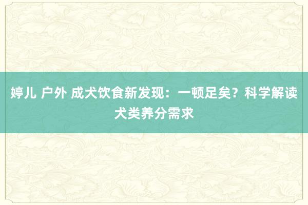 婷儿 户外 成犬饮食新发现：一顿足矣？科学解读犬类养分需求