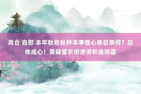 高合 自慰 本年秋收秋种本事惬心条目奈何？总体成心！需疑望农田渍涝和连阴霾