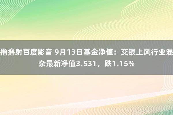 撸撸射百度影音 9月13日基金净值：交银上风行业混杂最新净值3.531，跌1.15%