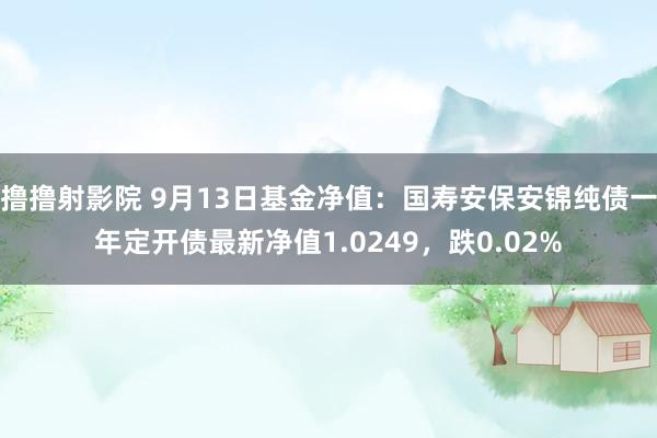 撸撸射影院 9月13日基金净值：国寿安保安锦纯债一年定开债最新净值1.0249，跌0.02%