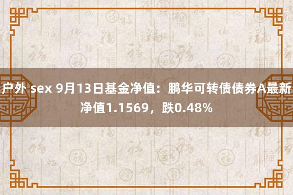 户外 sex 9月13日基金净值：鹏华可转债债券A最新净值1.1569，跌0.48%