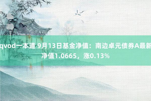 qvod一本道 9月13日基金净值：南边卓元债券A最新净值1.0665，涨0.13%