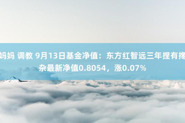 妈妈 调教 9月13日基金净值：东方红智远三年捏有搀杂最新净值0.8054，涨0.07%