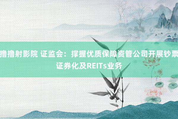 撸撸射影院 证监会：撑握优质保障资管公司开展钞票证券化及REITs业务