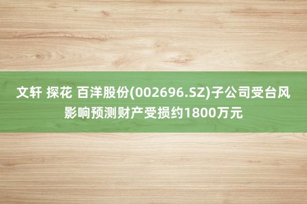 文轩 探花 百洋股份(002696.SZ)子公司受台风影响预测财产受损约1800万元