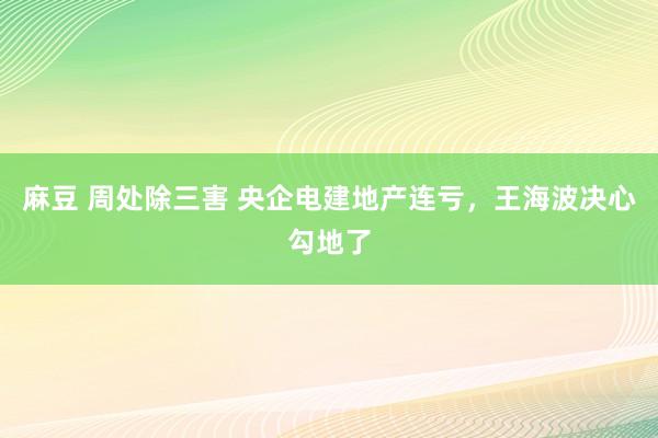 麻豆 周处除三害 央企电建地产连亏，王海波决心勾地了