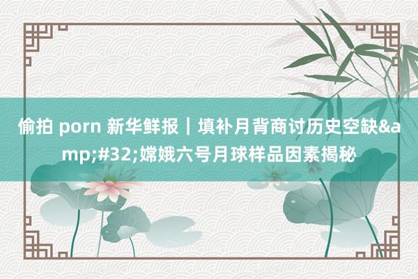 偷拍 porn 新华鲜报｜填补月背商讨历史空缺&#32;嫦娥六号月球样品因素揭秘