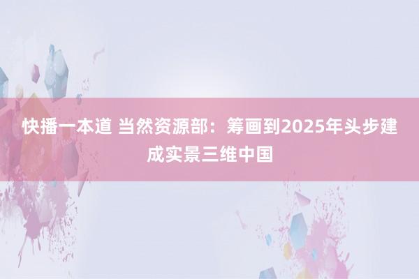 快播一本道 当然资源部：筹画到2025年头步建成实景三维中国