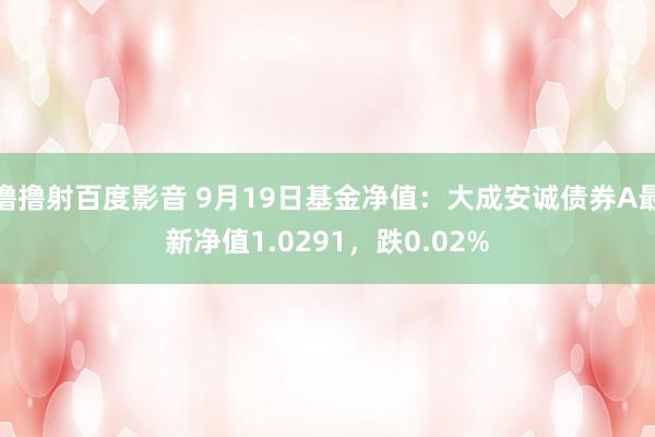 撸撸射百度影音 9月19日基金净值：大成安诚债券A最新净值1.0291，跌0.02%