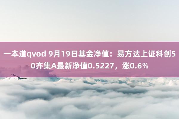 一本道qvod 9月19日基金净值：易方达上证科创50齐集A最新净值0.5227，涨0.6%