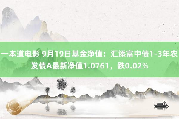 一本道电影 9月19日基金净值：汇添富中债1-3年农发债A最新净值1.0761，跌0.02%