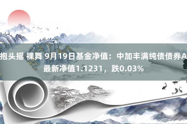 抱头摇 裸舞 9月19日基金净值：中加丰满纯债债券A最新净值1.1231，跌0.03%