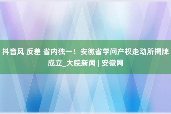 抖音风 反差 省内独一！安徽省学问产权走动所揭牌成立_大皖新闻 | 安徽网