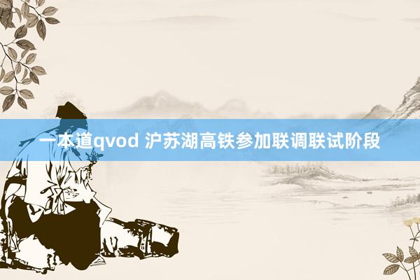 一本道qvod 沪苏湖高铁参加联调联试阶段