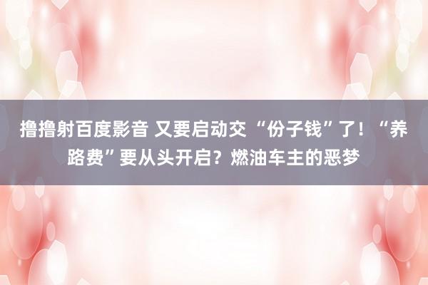 撸撸射百度影音 又要启动交 “份子钱”了！“养路费”要从头开启？燃油车主的恶梦