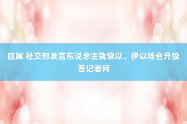 巨屌 社交部发言东说念主就黎以、伊以场合升级答记者问