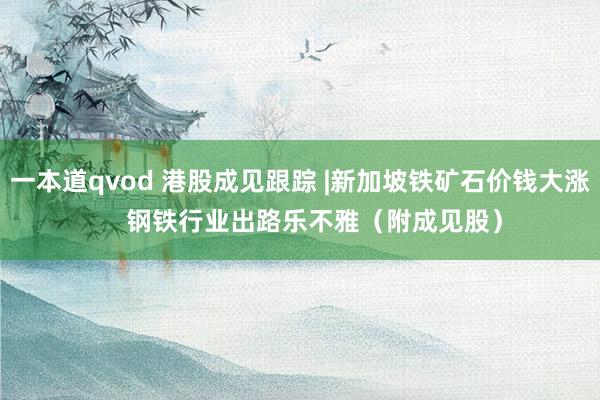 一本道qvod 港股成见跟踪 |新加坡铁矿石价钱大涨    钢铁行业出路乐不雅（附成见股）