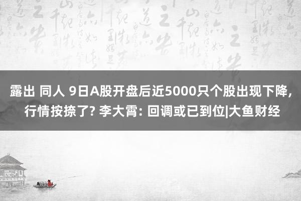 露出 同人 9日A股开盘后近5000只个股出现下降， 行情按捺了? 李大霄: 回调或已到位|大鱼财经