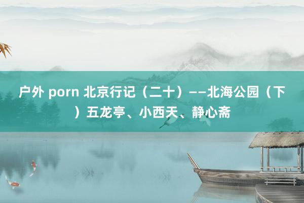 户外 porn 北京行记（二十）——北海公园（下）五龙亭、小西天、静心斋