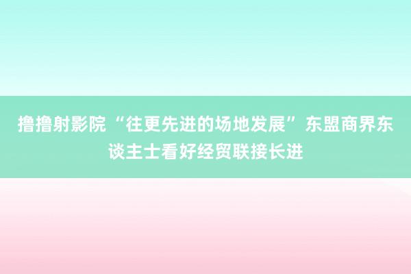 撸撸射影院 “往更先进的场地发展” 东盟商界东谈主士看好经贸联接长进