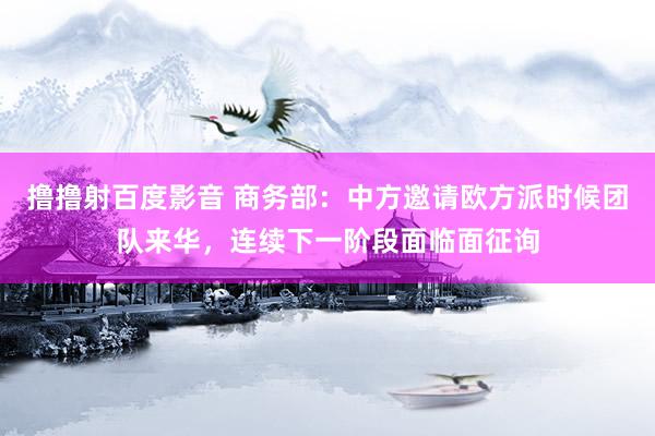 撸撸射百度影音 商务部：中方邀请欧方派时候团队来华，连续下一阶段面临面征询