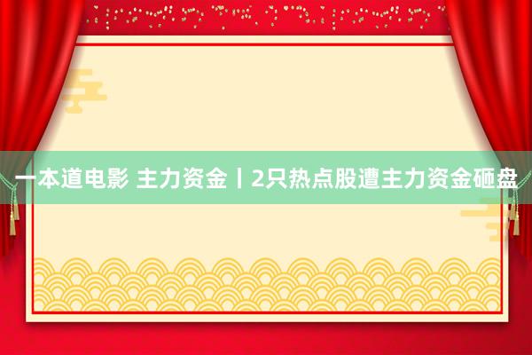 一本道电影 主力资金丨2只热点股遭主力资金砸盘