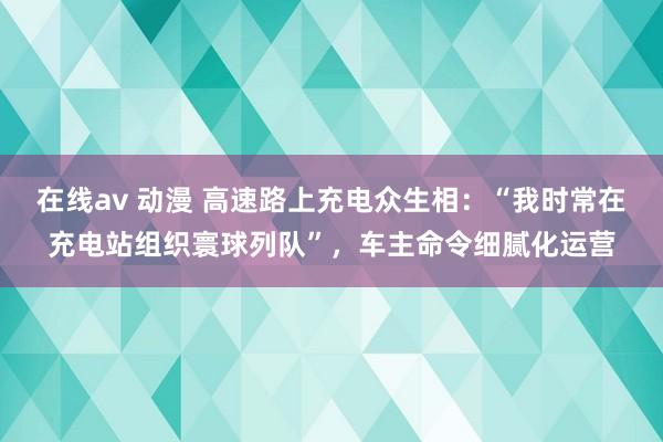 在线av 动漫 高速路上充电众生相：“我时常在充电站组织寰球列队”，车主命令细腻化运营