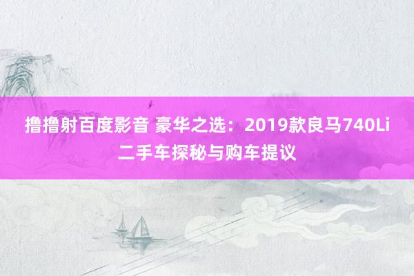 撸撸射百度影音 豪华之选：2019款良马740Li二手车探秘与购车提议