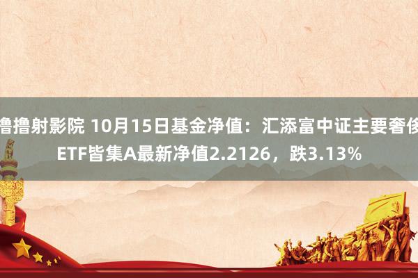 撸撸射影院 10月15日基金净值：汇添富中证主要奢侈ETF皆集A最新净值2.2126，跌3.13%