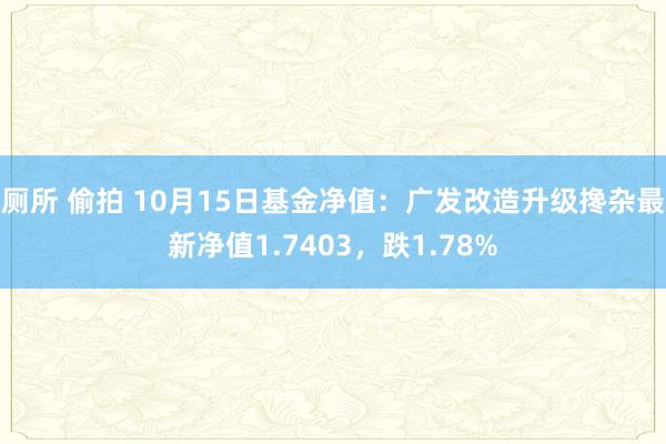 厕所 偷拍 10月15日基金净值：广发改造升级搀杂最新净值1.7403，跌1.78%