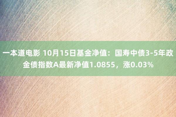 一本道电影 10月15日基金净值：国寿中债3-5年政金债指数A最新净值1.0855，涨0.03%