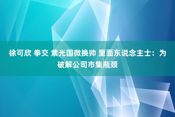 徐可欣 拳交 紫光国微换帅 里面东说念主士：为破解公司市集瓶颈