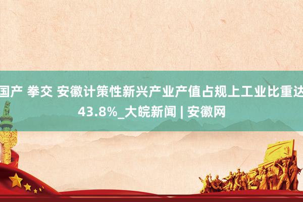 国产 拳交 安徽计策性新兴产业产值占规上工业比重达43.8%_大皖新闻 | 安徽网