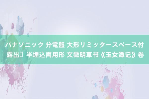 パナソニック 分電盤 大形リミッタースペース付 露出・半埋込両用形 文徵明草书《玉女潭记》卷