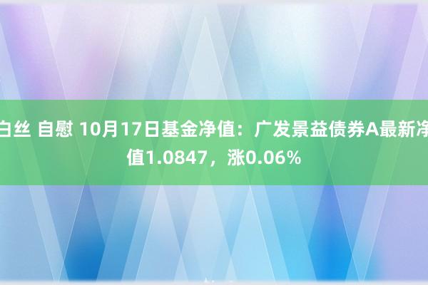 白丝 自慰 10月17日基金净值：广发景益债券A最新净值1.0847，涨0.06%