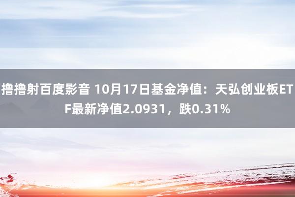 撸撸射百度影音 10月17日基金净值：天弘创业板ETF最新净值2.0931，跌0.31%