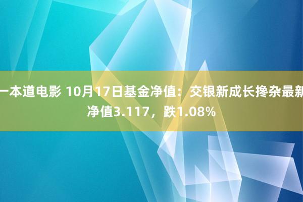 一本道电影 10月17日基金净值：交银新成长搀杂最新净值3.117，跌1.08%