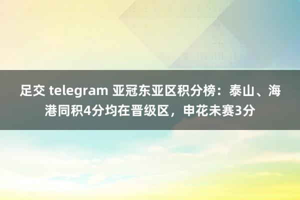 足交 telegram 亚冠东亚区积分榜：泰山、海港同积4分均在晋级区，申花未赛3分