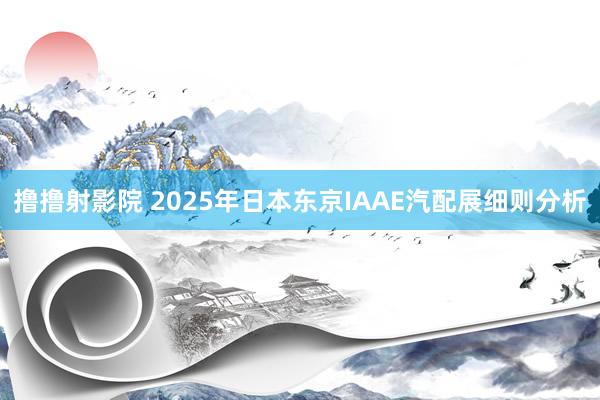 撸撸射影院 2025年日本东京IAAE汽配展细则分析