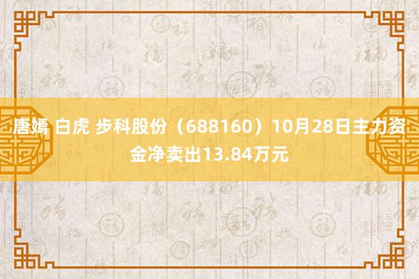 唐嫣 白虎 步科股份（688160）10月28日主力资金净卖出13.84万元