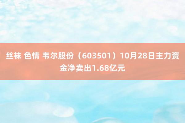 丝袜 色情 韦尔股份（603501）10月28日主力资金净卖出1.68亿元