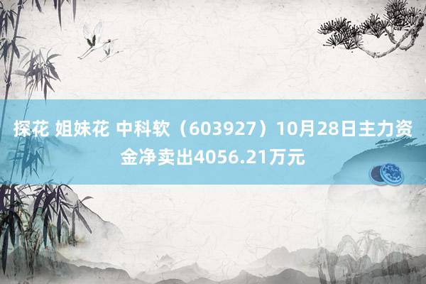 探花 姐妹花 中科软（603927）10月28日主力资金净卖出4056.21万元