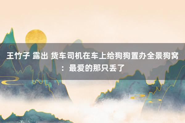 王竹子 露出 货车司机在车上给狗狗置办全景狗窝：最爱的那只丢了