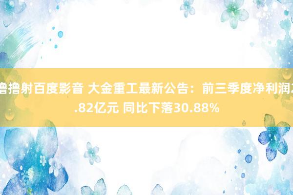 撸撸射百度影音 大金重工最新公告：前三季度净利润2.82亿元 同比下落30.88%