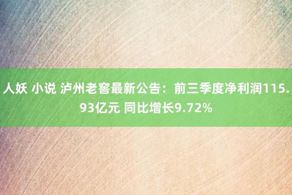 人妖 小说 泸州老窖最新公告：前三季度净利润115.93亿元 同比增长9.72%