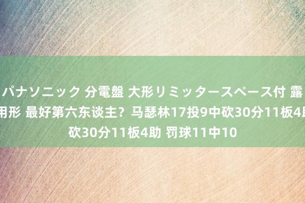 パナソニック 分電盤 大形リミッタースペース付 露出・半埋込両用形 最好第六东谈主？马瑟林17投9中砍30分11板4助 罚球11中10